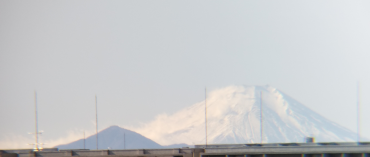 冬